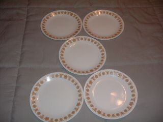 Vtg Corelle Butterfly Gold Plates 8.  5 " Set Of 5 Dinner Dishes Pyrex Corning