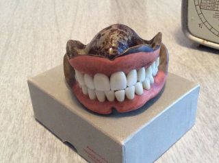 Full Set Of Vintage Dentures False Teeth Art Novelty Collectible Early 1900’s