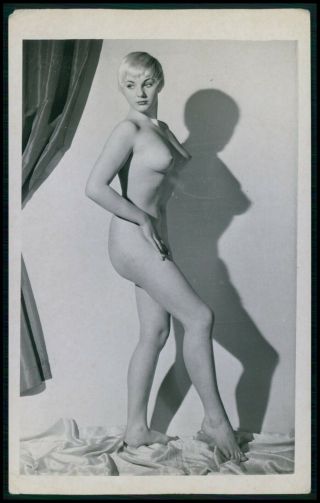 Pinup Nude Woman Pin Up Girl Vintage Old 1950s Gelatin Silver Photo B24
