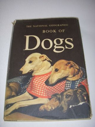 The National Geographic Book Of Dogs,  342 Illustrations,  1958,  Vintage Hb/dj