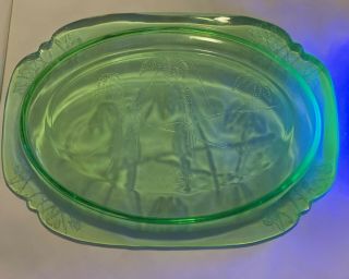 Vintage Green Parrot Sylvan 11.  5 Inch Oval Platter -