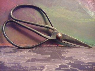 Vintage Bonsai Style Scissors 6.  5 "