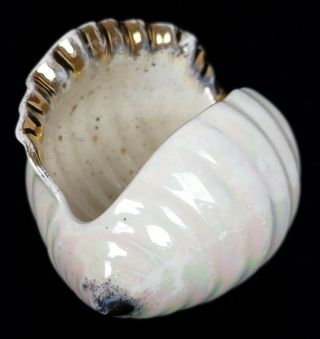 Gourgeous Vintage Conch Sea Shell Planter Pastel Opalescent Iridescent Gold Trim