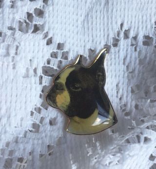 Vintage Boston Terrier Lapel Pin Pinback Germany