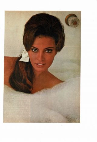 Vintage 1967 Young Sex Symbol Raquel Welch Movie Star Ad Print