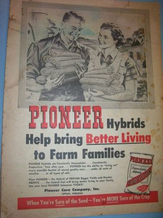 Vintage Seed Corn Advertising - 10 " X 14 " - Pioneer Hybrid Seed Corn - Tipton,  Ind