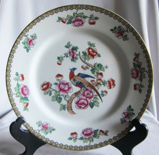 Vintage 10 " Dinner Plate F Winkle Pheasant Pattern
