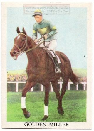 " Golden Miller " Steeplechase Thoroughbred Horse Equines Vintage Ad Trade Card