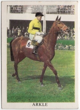 " Arkle " Irish Thoroughbred Racehorse Equine Vintage Trade Card