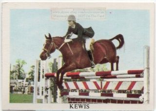 " Kewis " Champion Irish Jumping Horse Equine Vintage Trade Card
