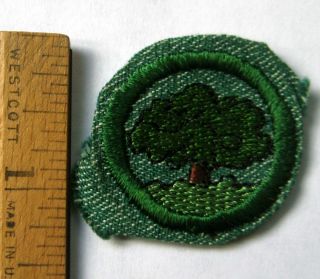 Vintage 1948 - 1955 Girl Scout Tree Badge Oak Mulberry Forest Dendrology Patch