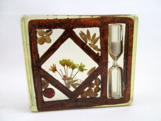 Vintage Lucite Dried Flower Egg Timer Hour Glass Design Gifts