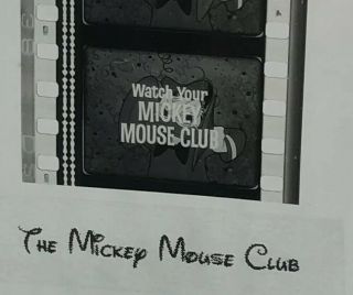Walt Disney Mickey Mouse Club Vintage 50’s Movie Film Strip 5 Cells Donald Duck