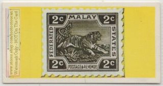 Tiger On Malay Federated States Postage Stamp South East Asia Vintage Trade Card