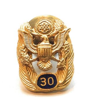 Vintage Us Government 30 Year Service Award Pin Great Seal Euc