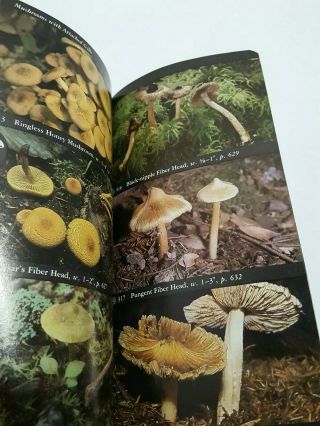 The Audubon Society Field Guide To North American Mushrooms Vintage 4