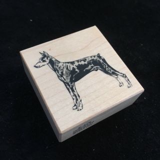 (d) Rubber Stamp Vintage Psx E - 478 Dog Rottweiler Collecting Dogs 1990
