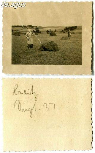 Vintage Photo From 1937 Women In The Field