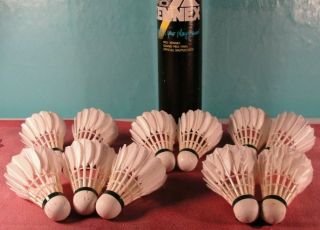 Pro Kennex Feather Badminton Shuttlecocks Vintage In Tube X 11