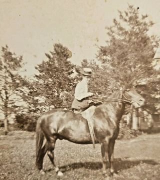 Vintage Photograph Lady On Horse With Hat Equestrian Riding Nature Trees