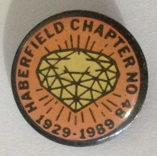 Haberfield Chapter No 48 Diamond Gem 1989 Badge Pin Vintage Rare (e9)
