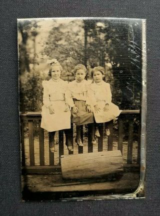 Sitting On A Fence Children Girls Outdoor Tintype Group Vintage Photo Childhood