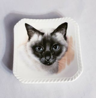Vintage Royal Adderley Fine Bone China Trinket Dish Siamese Cat England 4 " Plate