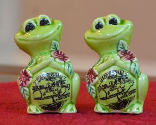 Green Ceramic Frog Tennessee Souvenir Salt & Pepper Shaker Set Vtg Made Japan