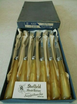 6 Vintage Westall Richardson Forever Sharp Steak Knives Sheffield England W/ Box