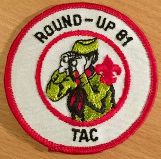 Vintage Boy Scouts Of America Patch - Transatlantic Council Round - Up 1981