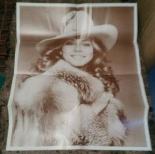 The Bionic Woman - Lindsay Wagner Hat 8 - Panel 28 " X22 " Vintage Poster