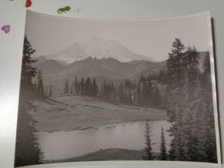 Vintage Real Photograph Mount Rainier Black And White Scenery Photo