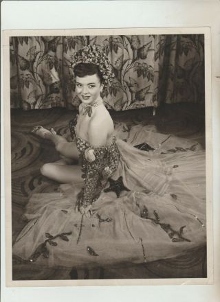 1952 Vintage 8 X 10 B & W Pinup Press Photograph Actress Verna Lord