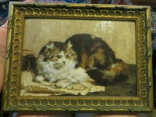 Vintage Framed Cat Painting / Print,  Long Haired Cat,  Persian,  Maine Coon,  Tabby