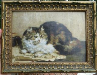 Vintage Framed Cat Painting / Print,  long haired cat,  persian,  maine coon,  tabby 2