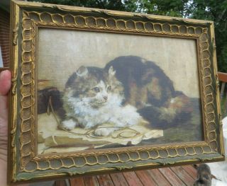 Vintage Framed Cat Painting / Print,  long haired cat,  persian,  maine coon,  tabby 3
