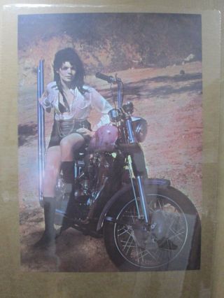 Rachel Welch Hot Girl Vintage Poster 1970 