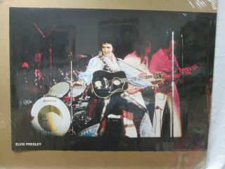 Elvis Presley King Of Rock And Roll Vintage Poster Garage 1970 
