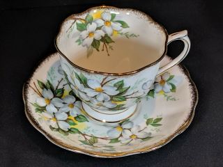 Vintage Royal Albert Cabinet Tea Cup & Saucer Bone China White Dogwood England