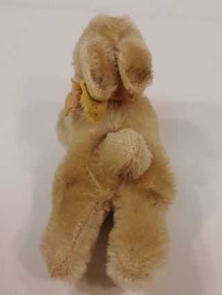 Vintage Antique Steiff Mohair Small Bunny Rabbit w/ Button 3