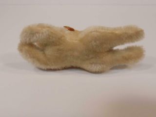 Vintage Antique Steiff Mohair Small Bunny Rabbit w/ Button 5