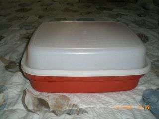 Large Vintage Tupperware Marinade Dish 12 Inches By 10 Inches By 4 Inches