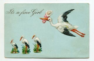 Vintage Postcard Stork In Flight Delivering Baby Girl Its A Fine Girl