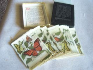 50 Vintage Butterfly Bookplates Invisible Gum To Stick On Easy
