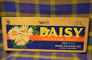 Vintage " Daisy " California Fruit Wood Box Crate End W/label - Barr Packing Co - Sang
