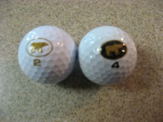 2 Vintage Jack Nicklaus Golden Bear Golf Balls