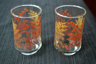 2 Vintage Libbey Clear Juice Glasses Orange Yellow Gold Brown Fern Floral Leaf 3