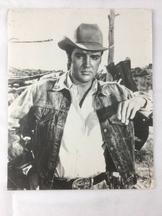 Vintage Elvis Presley Cowboy Western Photo Art Photo 8x10