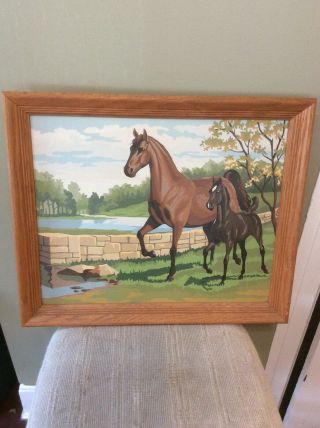 Vintage Paint By Numbers Framed Horses 16” X 20”