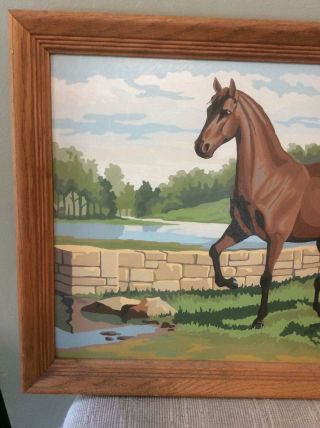 VINTAGE PAINT BY NUMBERS FRAMED HORSES 16” X 20” 2